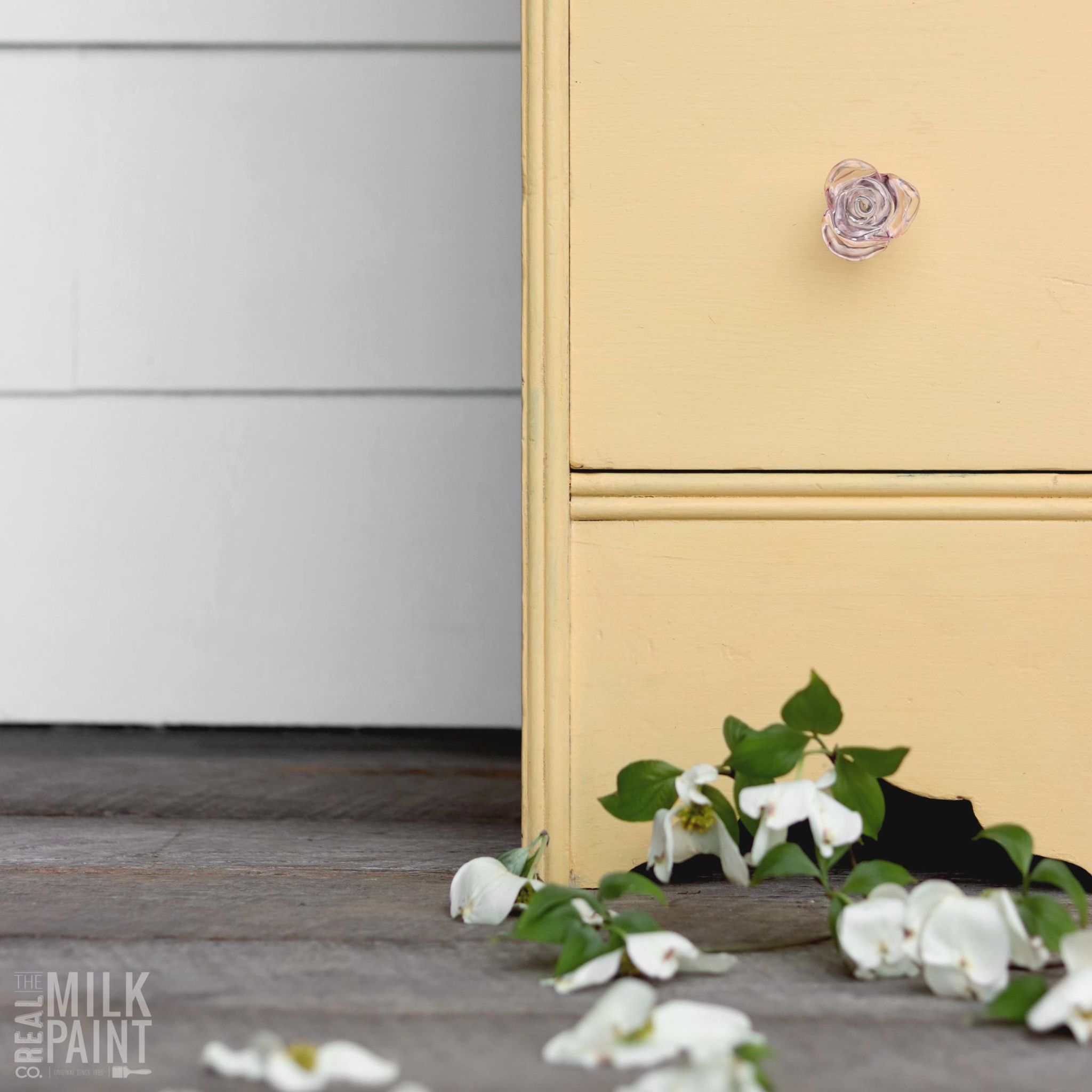 Yellow Rose Paint - Image 10