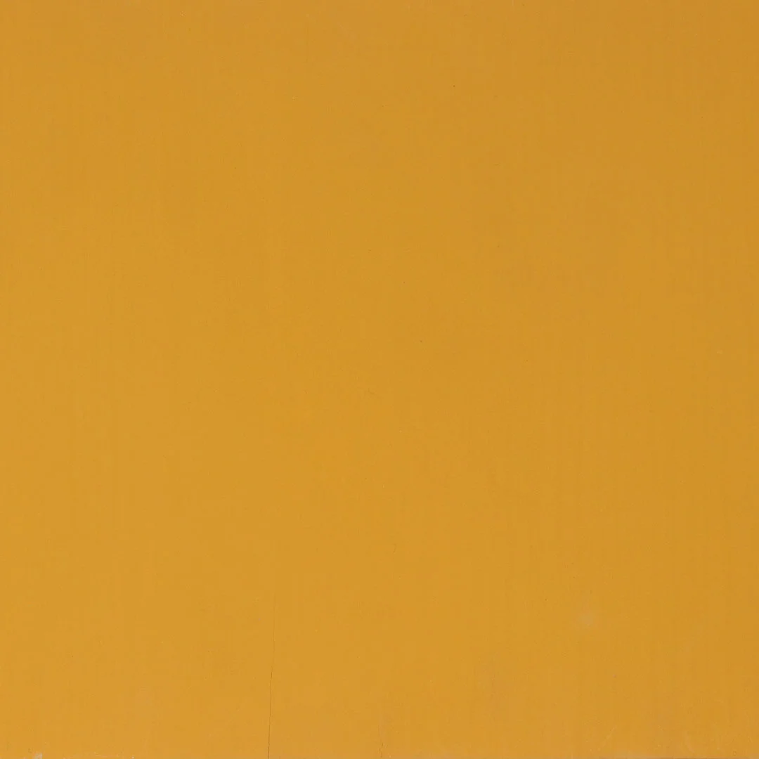 Sunflower Paint - Image 2